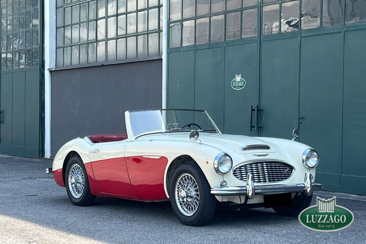 Austin-Healey - Healey 100/6 BN4